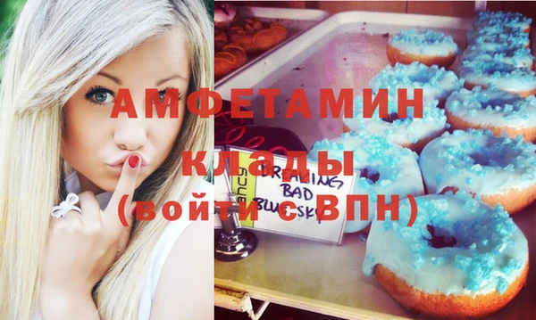 гашик Горняк