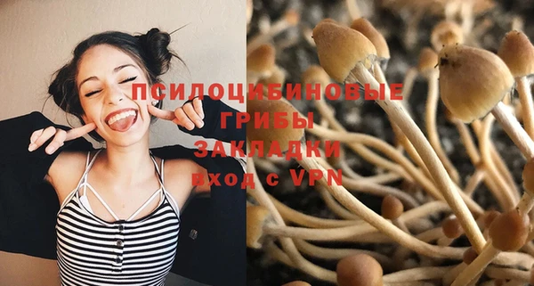 прущий лед Армянск
