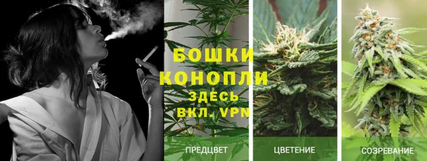 прущий лед Армянск