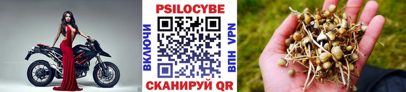 цены Павловская Галлюциногенные грибы GOLDEN TEACHER